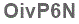 The text to enter in the texbox below is: OivP6N