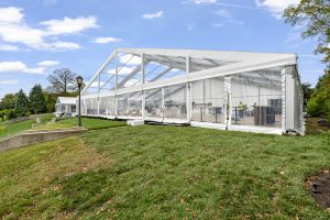 Backyard Party Rental by Main Attractions